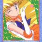 Sailor Moon Super S Bromide DX Regular Card - Venus