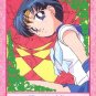 Sailor Moon Super S Bromide DX Regular Card - Mercury