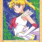 Sailor Moon Super S Bromide DX Regular Card - Super Moon