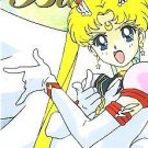 Sailor Moon Stars Battle Private Regular Card #18 Sailor Moon Stars Battle Private Regular Card #18