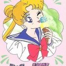 Sailor Moon 1992 R Carddass 1 Regular Card #5 Sailor Moon 1992 R Carddass 1 Regular Card #5