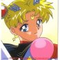 Sailor Moon Stars Pull Pack PP 14 Regular Card #717