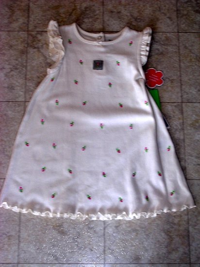 Carter's rosebud dress NWT 24 months
