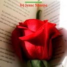 Because of You: reflections in haiku