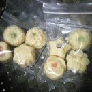 Tahitian Village Mini Tarts