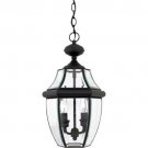 Quoizel Lighting Newbury 2 Light Outdoor Hanging Light In Mystic Black NY1178K