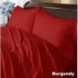 1000TC STRIPE DUVET SET & BURGUNDY COLOR - 100% EGYPTIANCOTTON