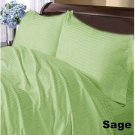 1000TC STRIPE DUVET SET & SAGE COLOR - 100% EGYPTIANCOTTON