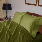 1000TC SOLID DUVET SET & MOSS COLOR - 100% EGYPTIANCOTTON