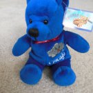Collectible Symbolz brand CHICAGO WINDY CITY BEAR PLUSH COLLECTIBLE 2003 TAGS