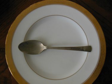 DOS1 PATTERN by DORIANNE SILVERPLATE 1 Spoon