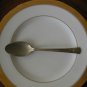 DOS1 PATTERN by DORIANNE SILVERPLATE 1 Spoon