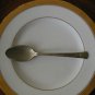 DOS1 PATTERN by DORIANNE SILVERPLATE 1 Spoon