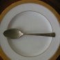 DOS1 PATTERN by DORIANNE SILVERPLATE 1 Spoon