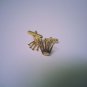 FASHION CUFF LINKS ~ 18 K GOLD ~ DESIGNER STYLE ~ NIB !!!