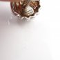 TIFFANY AND CO. ~ CUFF LINKS  NAUTICAL COLLECTOR SERIES ~ SHELLS ~ ULTRA RARE ~ STUNNING !!!