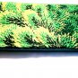 iPurse&Acirc;&reg; Phone Case-Purse- Leaf-Wallet/Pouch / Phone case/Wallet/Evening purse/Pouch