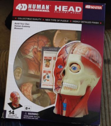 Human Head ANATOMY MODEL/PUZZLE,4D head Kit #26064  TEDCO SCIENCE TOYS