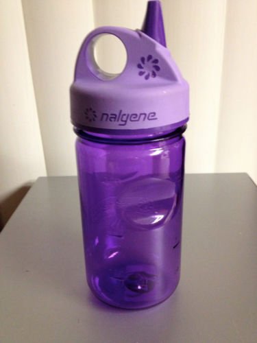 NALGENE Tritan Grip-N-Gulp BPA-Free Water Bottle,Purple