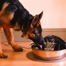 Stylish Hygienic Zen Steel Fountain for Dogs and Cats New