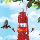 Lantern Hummingbird Feeder Glass Red Nectar New Hurricane Hanging Bird Garden