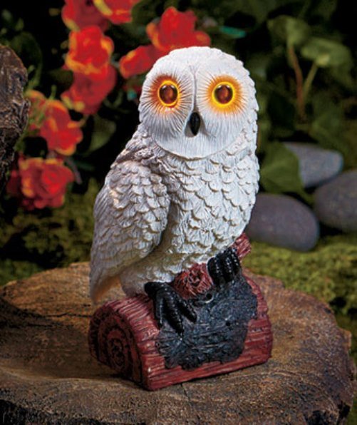 Solar Hooting Owl Motion Light Sensor White New Yard Garden Home