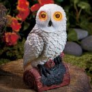 Solar Hooting Owl Motion Light Sensor White New Yard Garden Home