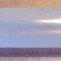 Winchester Paintball Clear Paintball Tube NEW