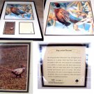 Tom Bates Numbered Painting Ring-Necked Pheasant Framed