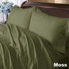 1000TC STRIPE MOSS DUVET SHEET  IN QUEEN SIZE - 100% EGYPTIAN COTTON