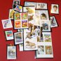 2003 Collection & Album