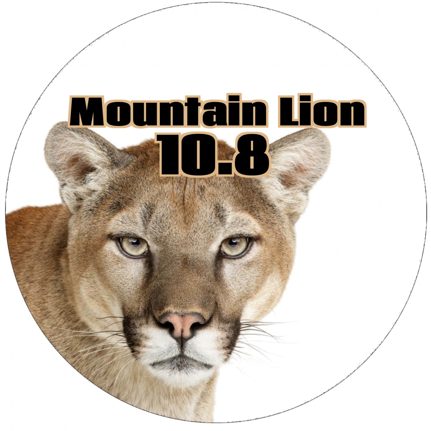 mac os x 10.8 mountain lion dmg
