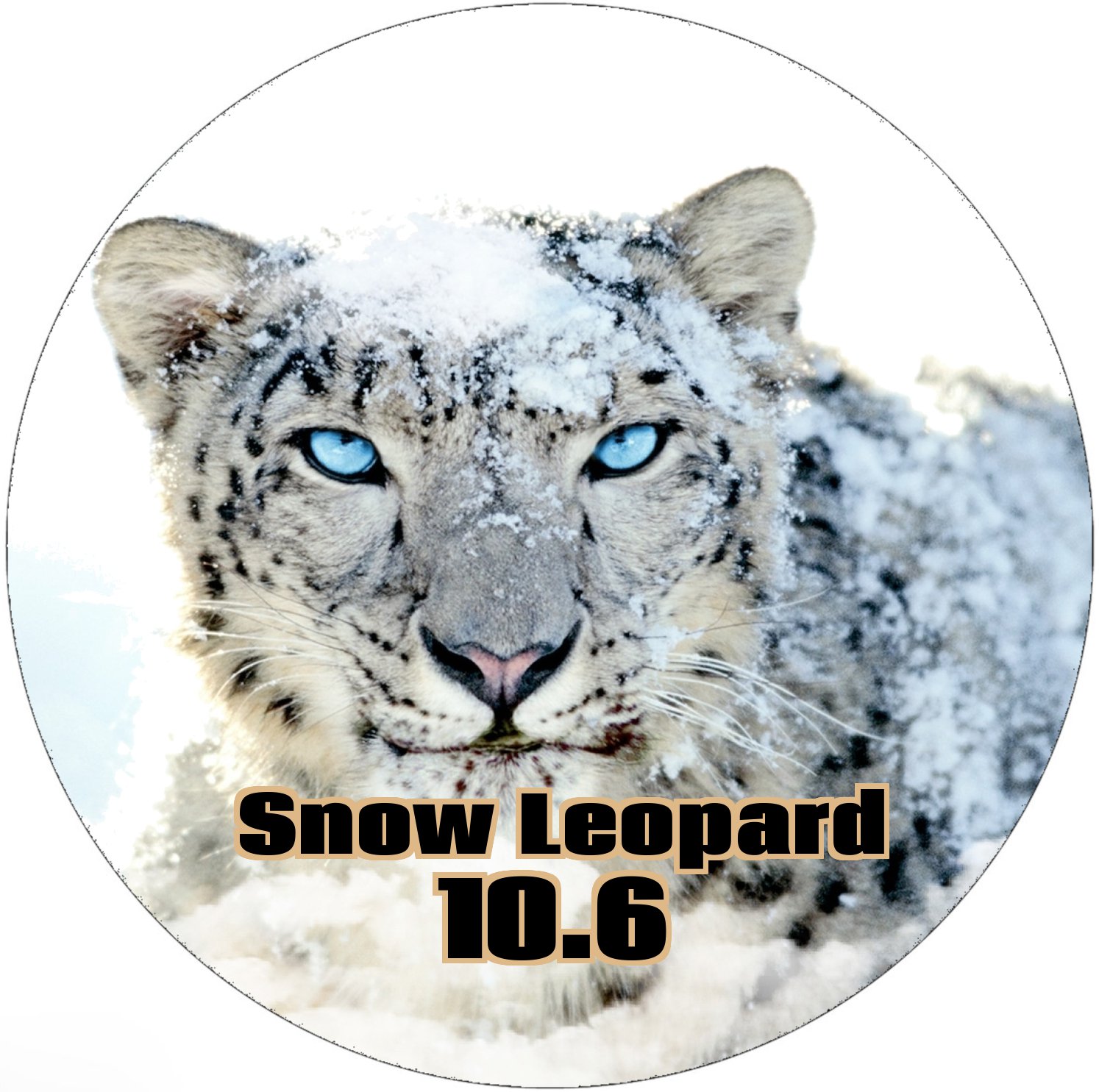 snow leopard disk image download snow leopard disk image download