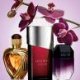 Fragrances