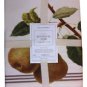WILLIAM SONOMA Nappe Botanical Pear Tablecloth 90" Dinner