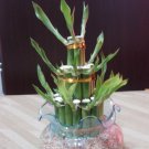 clay flower CL0013