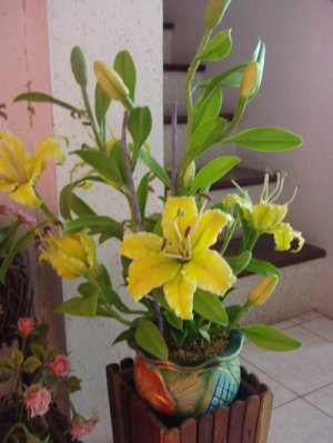 Clay Flower  CL0029