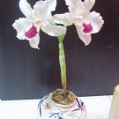 Clay flower CL 0030