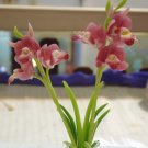 Clay flower CL0038