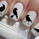 Black RAVENS / CROW Nail Art Decals (RAV) WaterSlide Transfer Decals