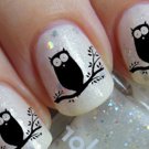 BLACK OWLS in a TREE Nail Art (OWT) WaterSlide Transfer Decals Not Stickers