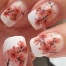 CHERRY BLOSSOMS Nail Art (CBL) Peach / Pink Waterslide Decals Not Stickers