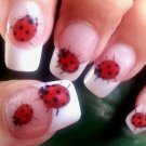 49 LADYBUGS Nail Art Decals (LB1)  WaterSlide Transfers Decals Not Stickers
