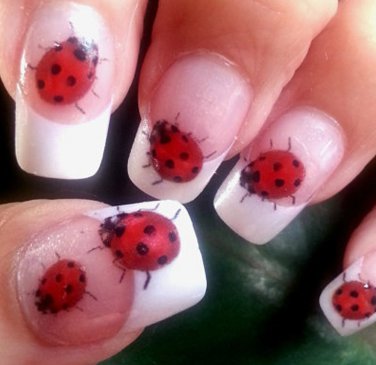 49 LADYBUGS Nail Art Decals (LB1)  WaterSlide Transfers Decals Not Stickers