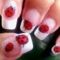 49 LADYBUGS Nail Art Decals (LB1)  WaterSlide Transfers Decals Not Stickers