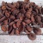 100 Bulk Acorn Caps Tops Hats Rustic New England Natural Earth Friendly Fall Craft Supply Supplies