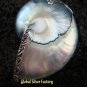 925 Silver Grey Nautilus Shell Pendant SP-372-KT