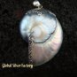 925 Silver Grey Nautilus Shell Pendant SP-372-KT