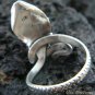 925 Silver & Garnet Snake Ring RI-224-KT