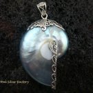 925 Silver Grey Nautilus Shell Pendant SP-401-KT